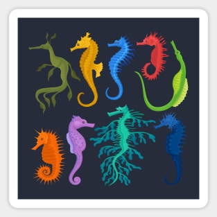 Seahorses Collection Magnet